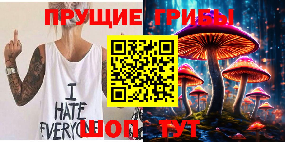 Сызрань  Псилоцибиновые грибы MAGIC MUSHROOMS  Вход с VPN  купить наркотики сайты  Галлюциногенные грибы GOLDEN TEACHER 